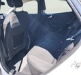 Ford Puma употребяван
