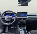 Ford Kuga употребяван