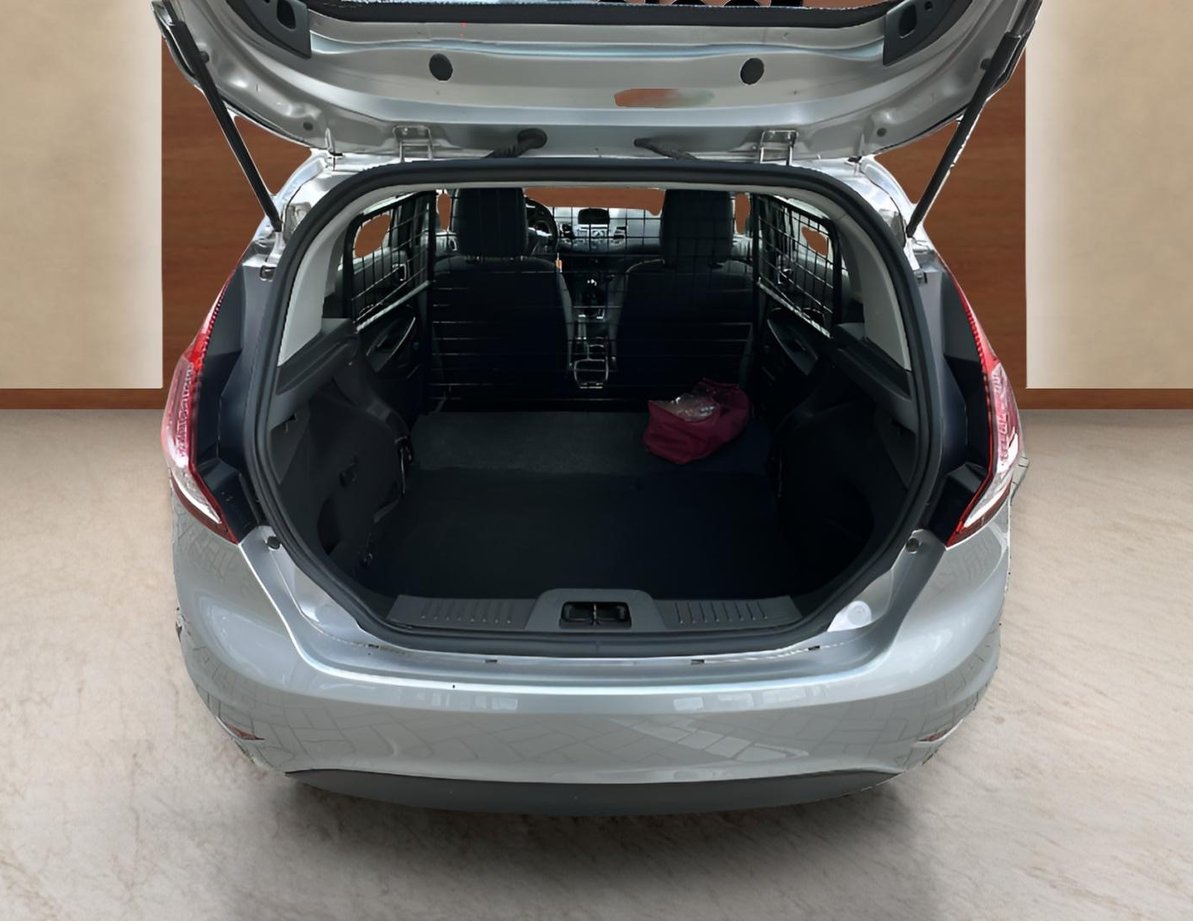 Ford Fiesta употребяван