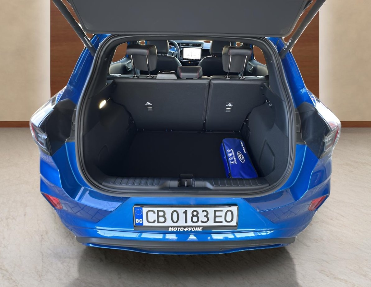 Ford Puma употребяван