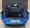 Ford Puma употребяван