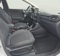 Ford Puma употребяван