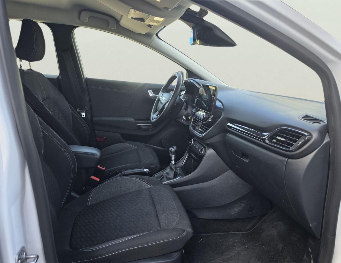 Ford Puma употребяван