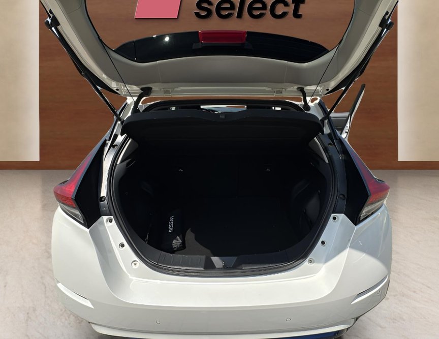 Nissan Leaf употребяван