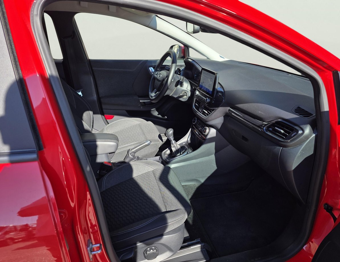 Ford Puma употребяван