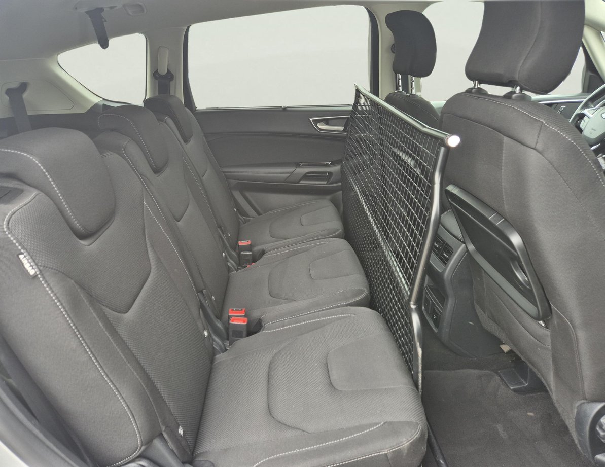 Ford S-Max употребяван