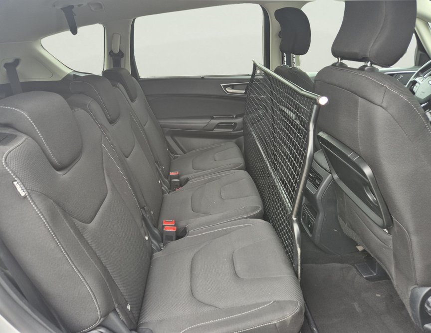 Ford S-Max употребяван