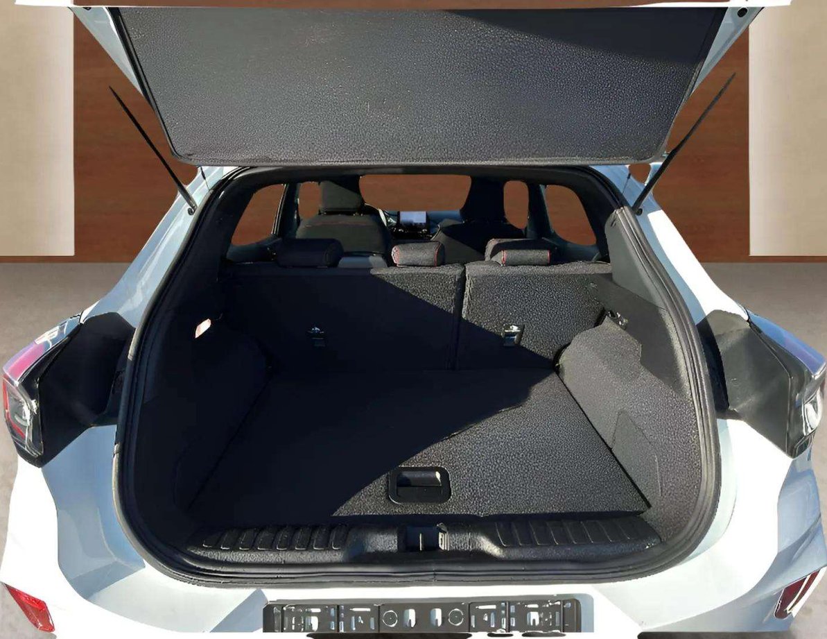 Ford Puma употребяван