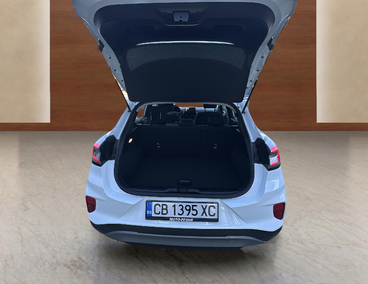 Ford Puma употребяван