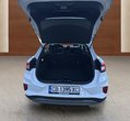 Ford Puma употребяван