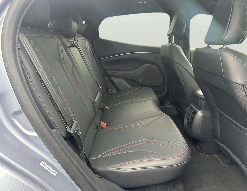 Ford Mach-E употребяван