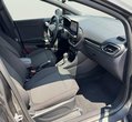 Ford Puma употребяван