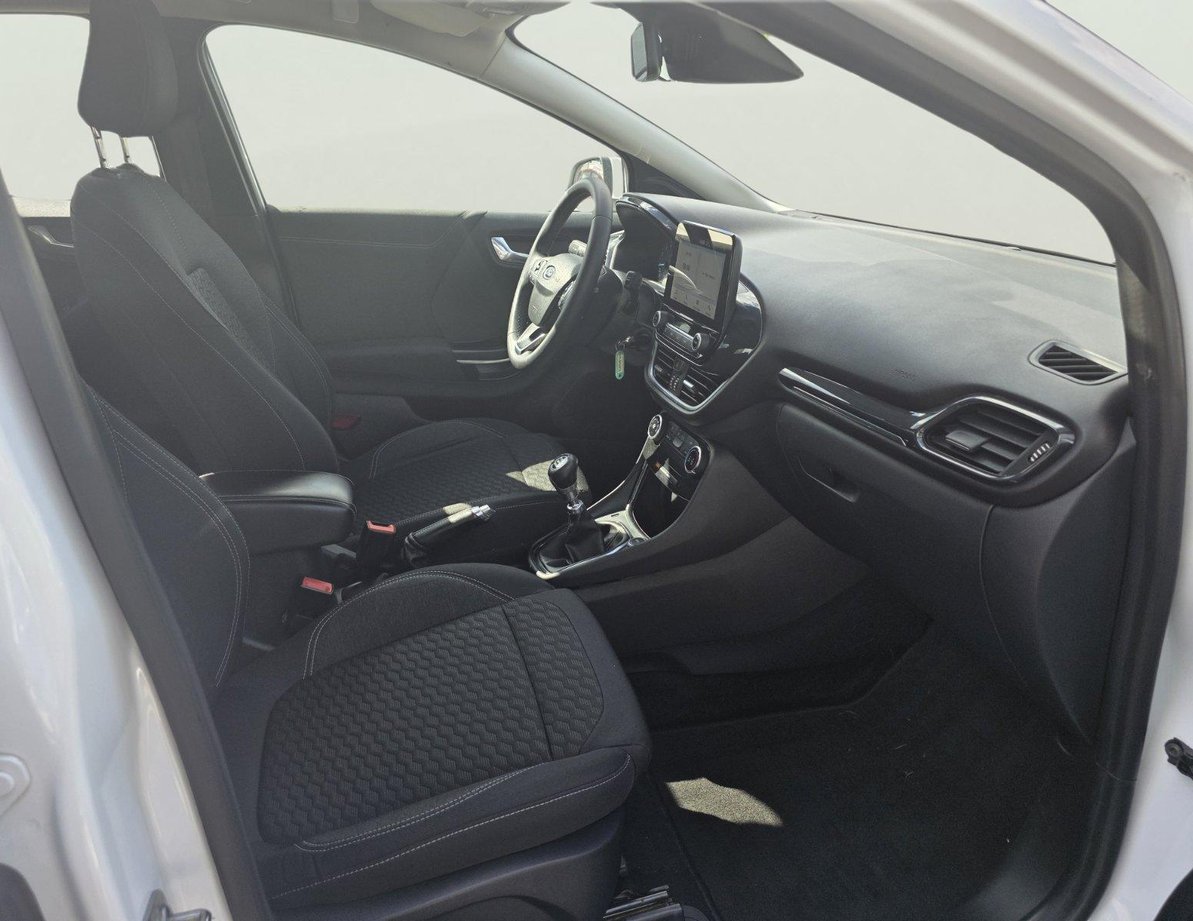 Ford Puma употребяван