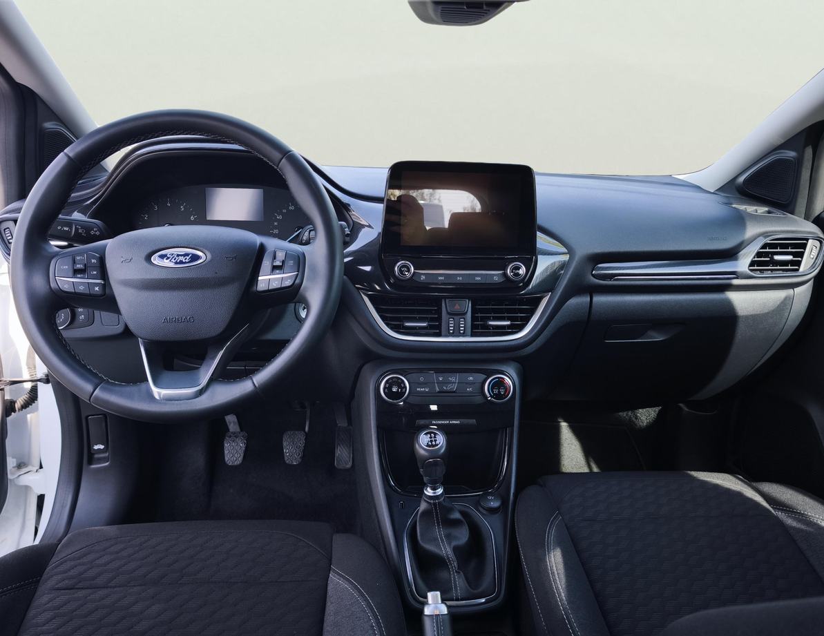 Ford Puma употребяван