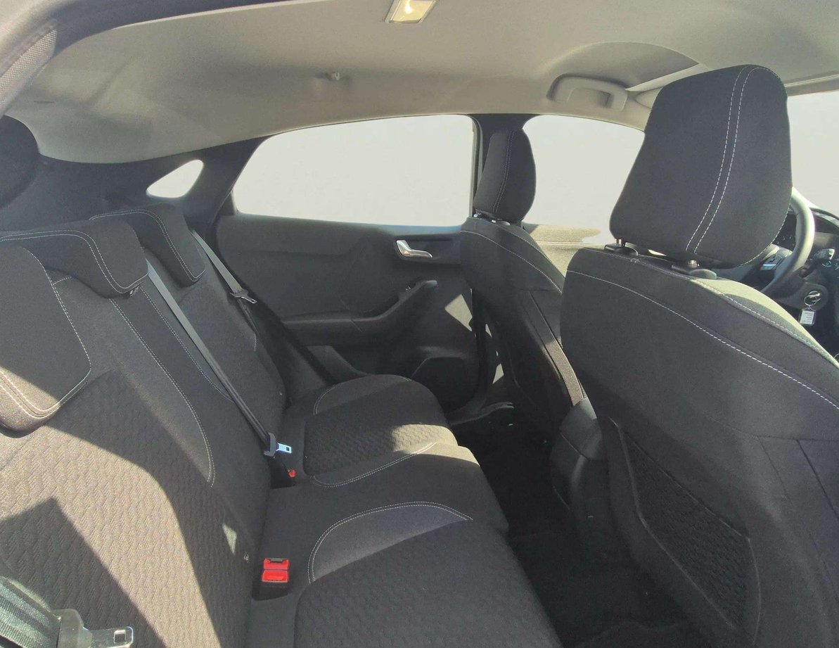 Ford Puma употребяван