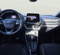 Ford Puma употребяван