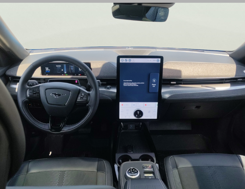 Ford Mach-E употребяван