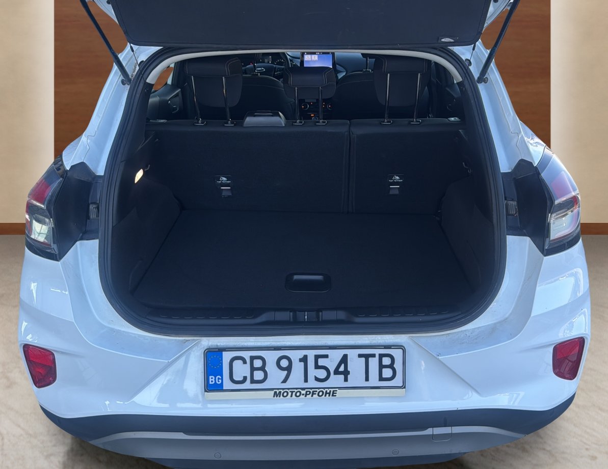 Ford Puma употребяван