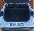 Ford Puma употребяван