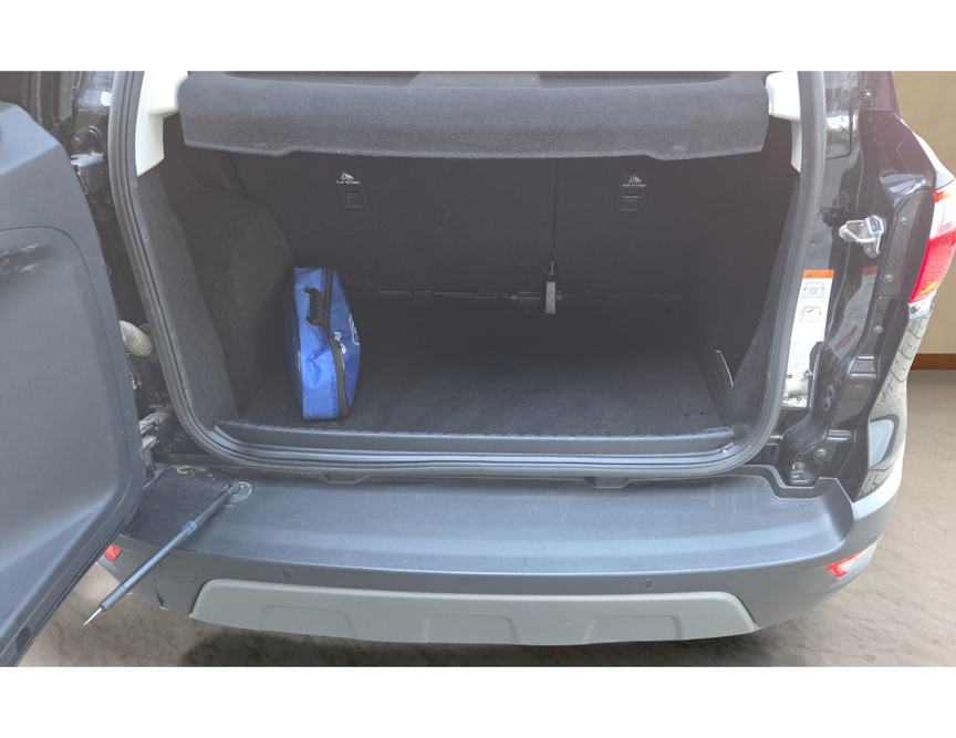Ford EcoSport употребяван