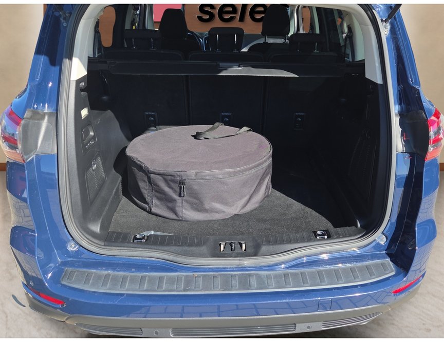 Ford S-Max употребяван